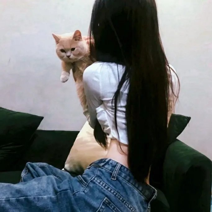 性爱奋斗营